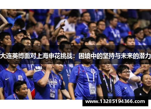 大连英博面对上海申花挑战：困境中的坚持与未来的潜力